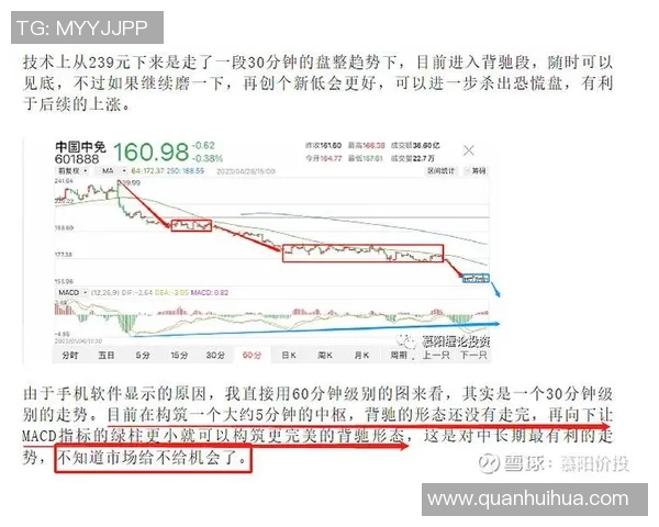 南京篮球队与武汉篮球队赛后技术分析与战术复盘探讨