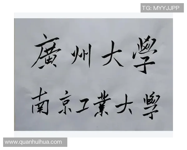 杭州排球队逆袭之路揭秘总决赛背后的奋斗与荣耀