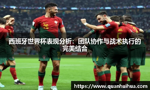 西班牙世界杯表现分析：团队协作与战术执行的完美结合